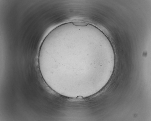 X0000116581296201001211257