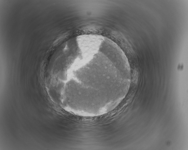 X0000116581297201001211256