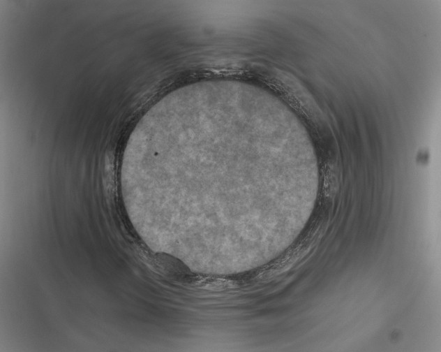 X0000116581298201001211256