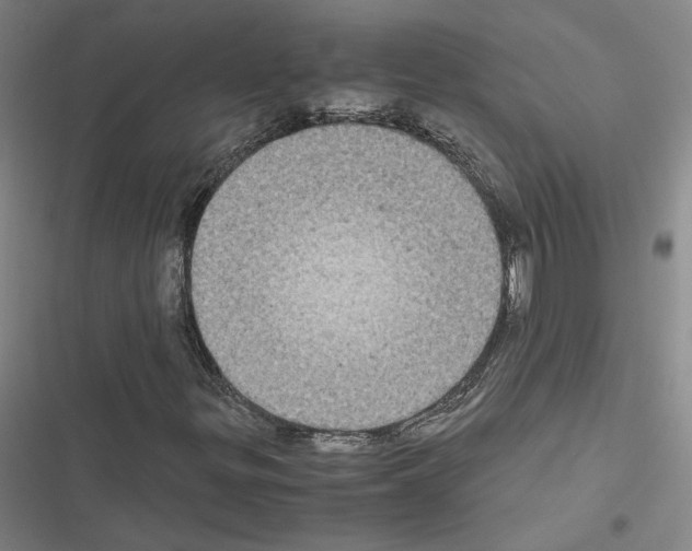 X0000116581299201001211256