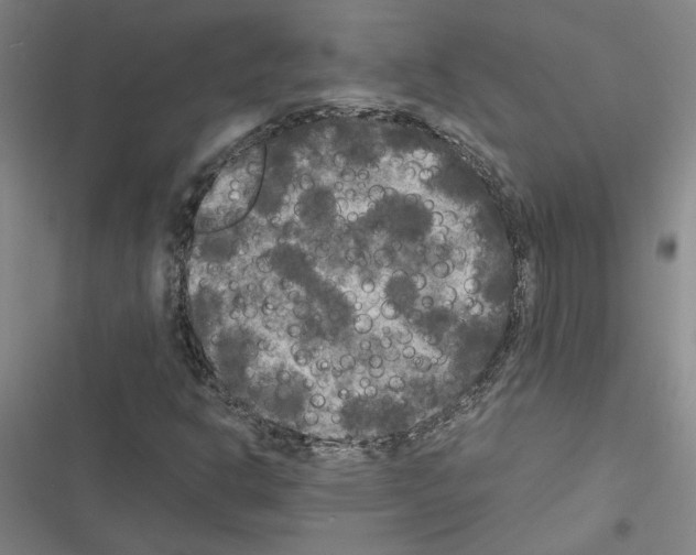X0000116581302201001211256