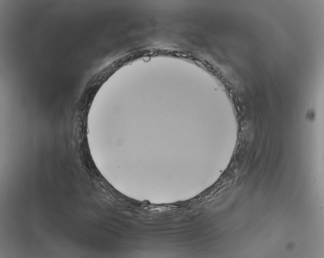 X0000116581303201001211256