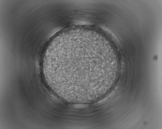 X0000116581305201001211256