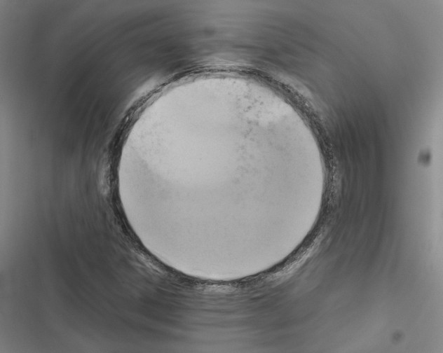 X0000116581306201001211256