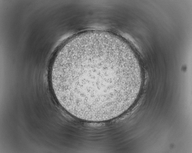 X0000116581307201001211256