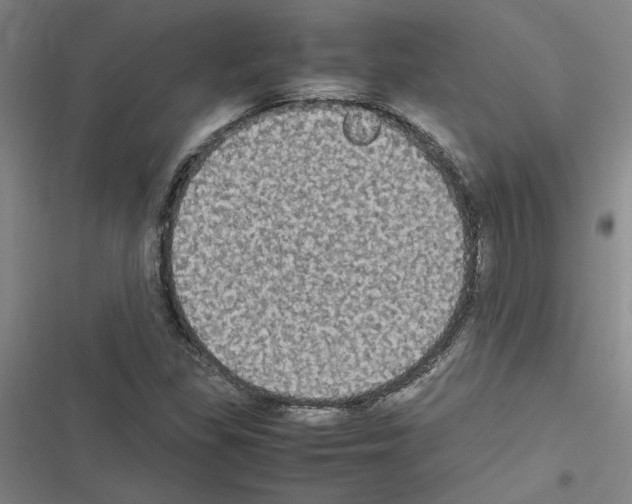 X0000116581309201001211256