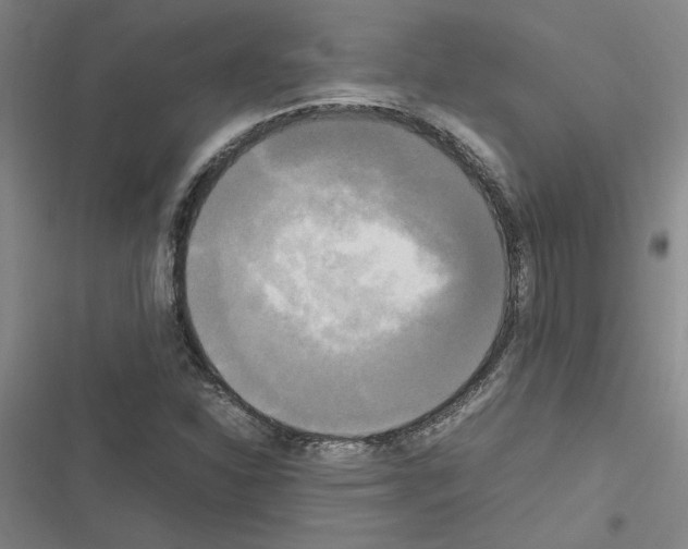 X0000116581310201001211256