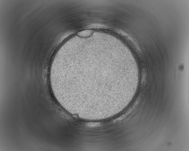 X0000116581313201001211256