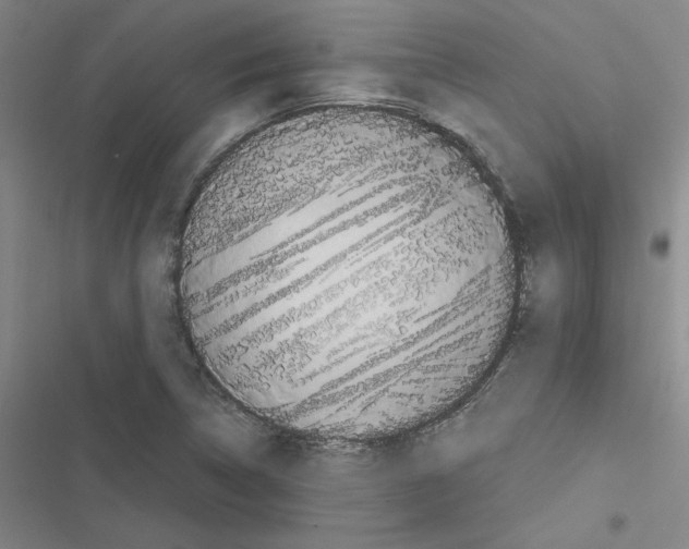 X0000116581314201001211256