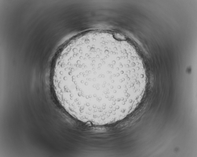X0000116581315201001211256