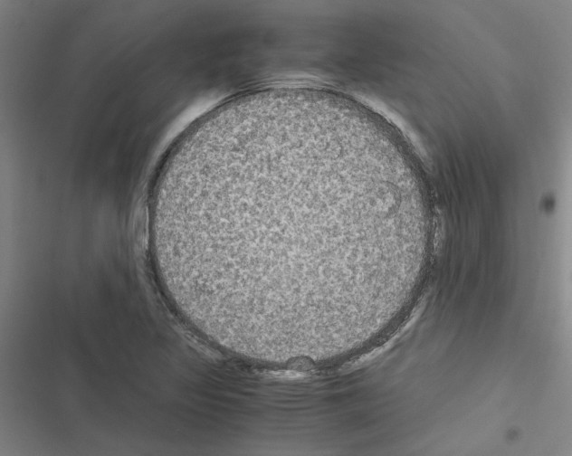 X0000116581317201001211256