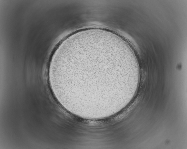 X0000116581318201001211256