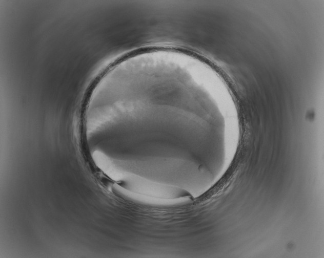 X0000116581319201001211256