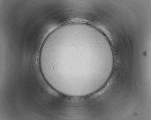X0000116581322201001211256