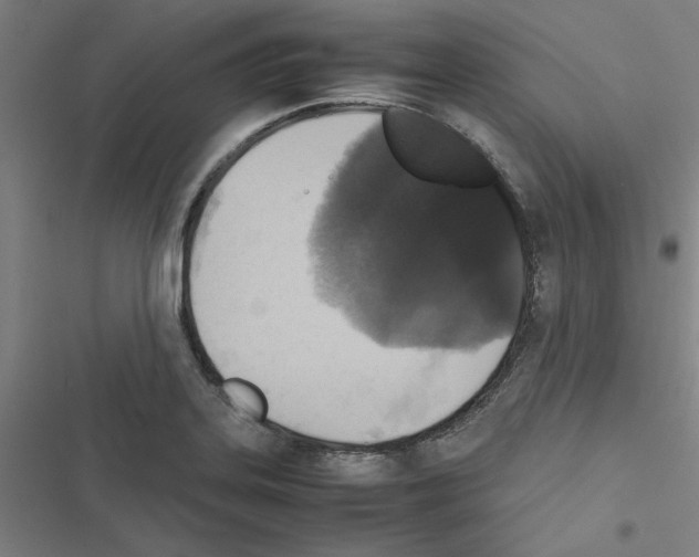 X0000116581323201001211256