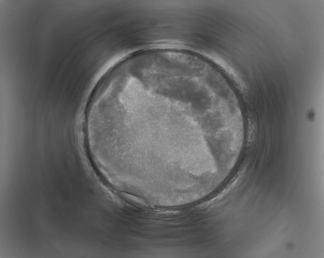 X0000116581325201001211256