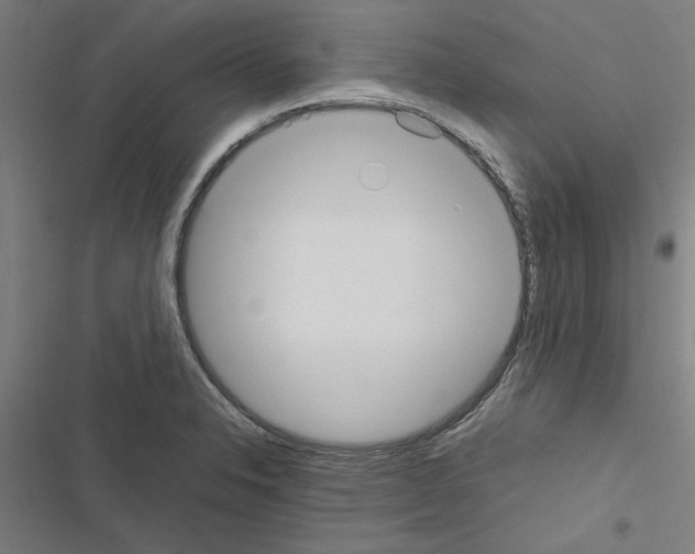 X0000116581326201001211256