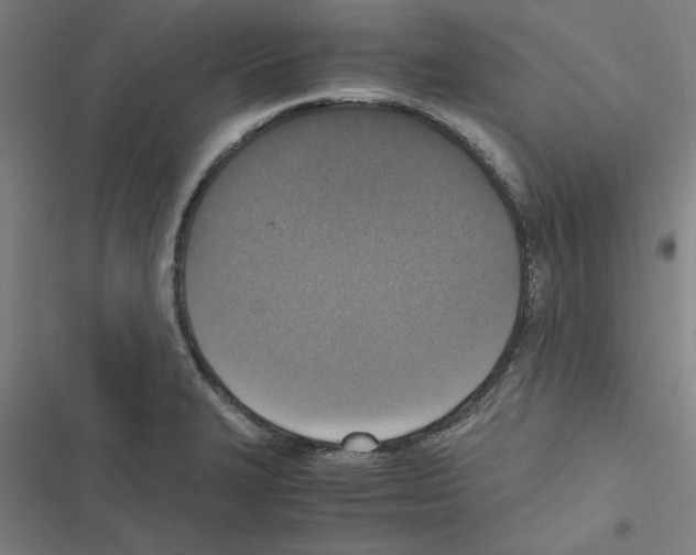 X0000116581327201001211256