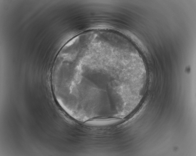 X0000116581329201001211256