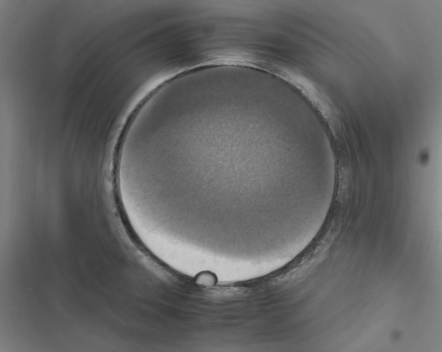 X0000116581331201001211256