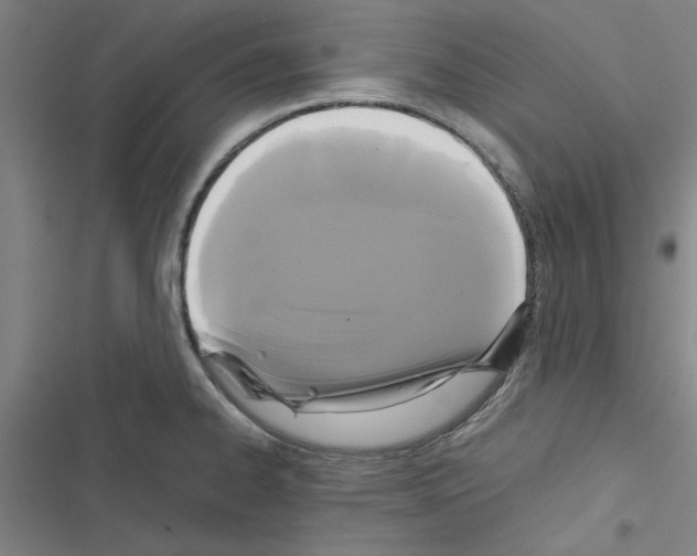 X0000116581334201001211256