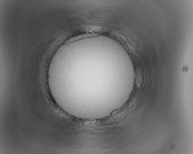 X0000116581345201001211256