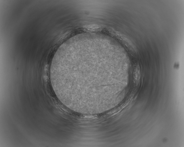 X0000116581346201001211256