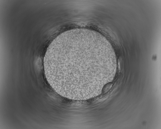 X0000116581347201001211256