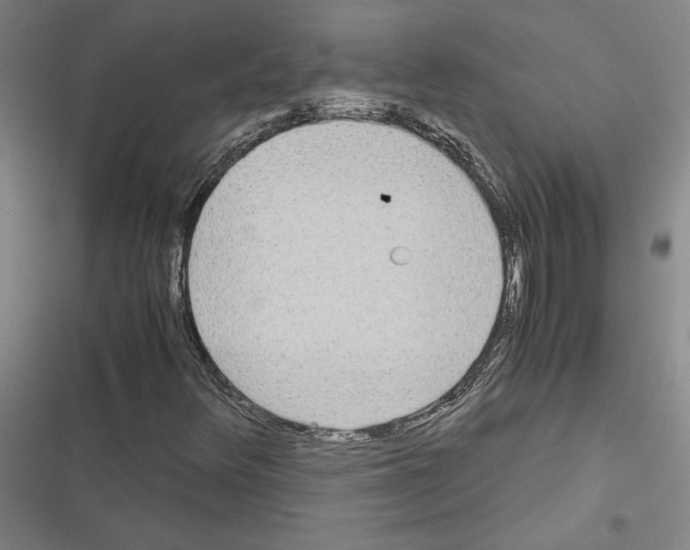 X0000116581348201001211256