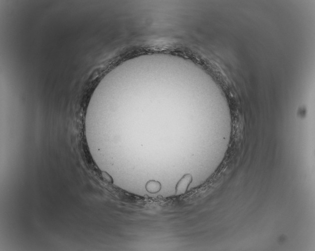 X0000116581349201001211256