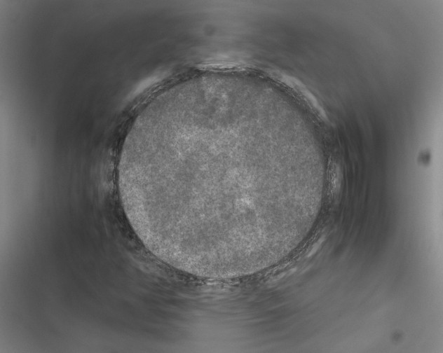 X0000116581350201001211256