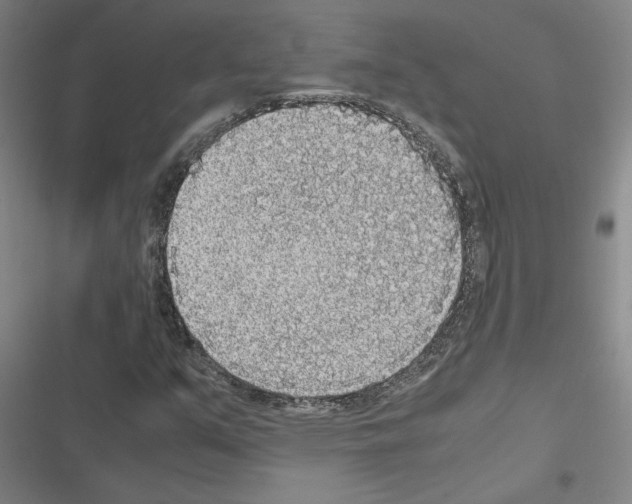 X0000116581351201001211256