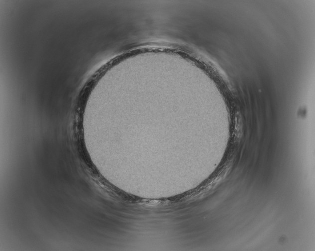 X0000116581352201001211256