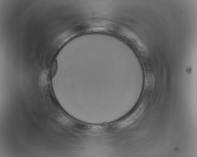 X0000116581353201001211256