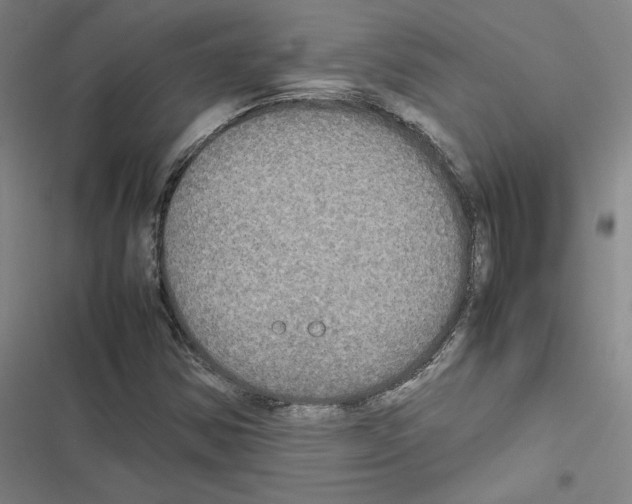 X0000116581354201001211256