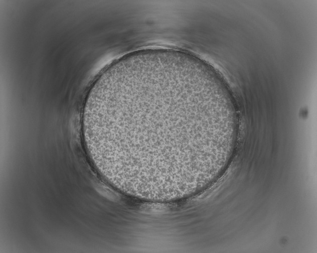 X0000116581355201001211256