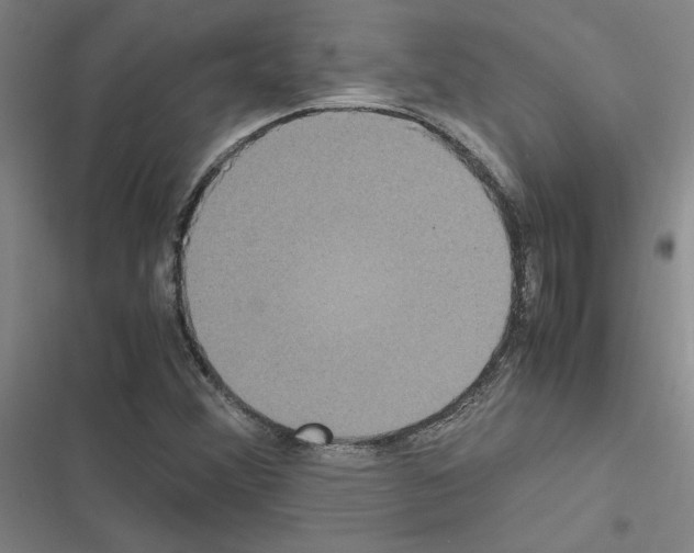X0000116581356201001211256