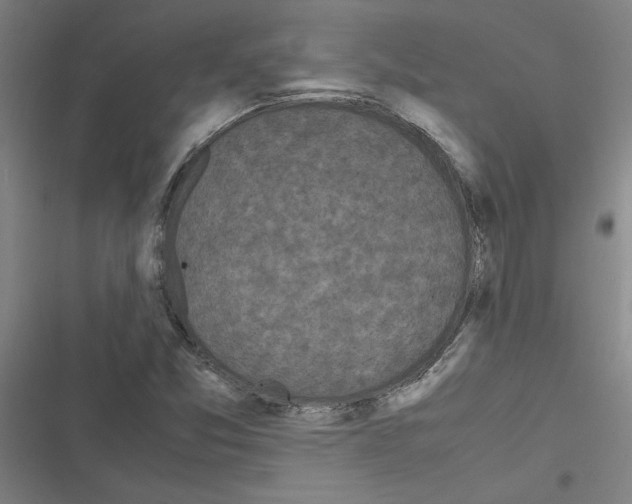 X0000116581357201001211256