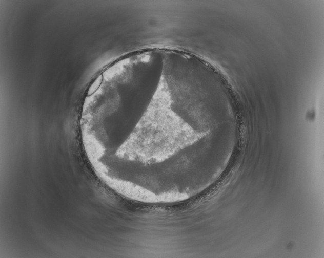 X0000116581359201001211256