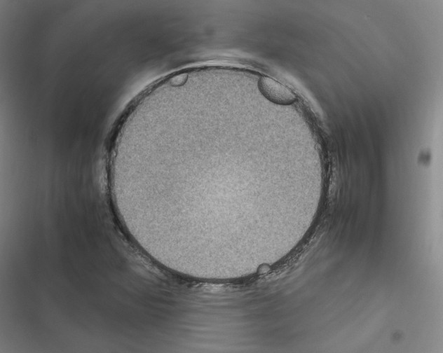 X0000116581360201001211256