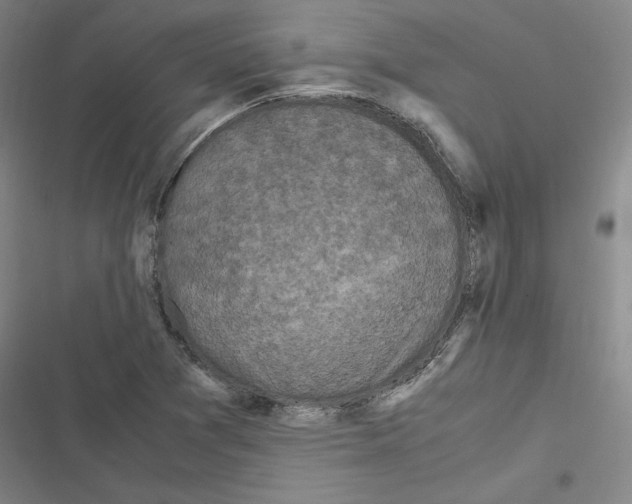 X0000116581361201001211256