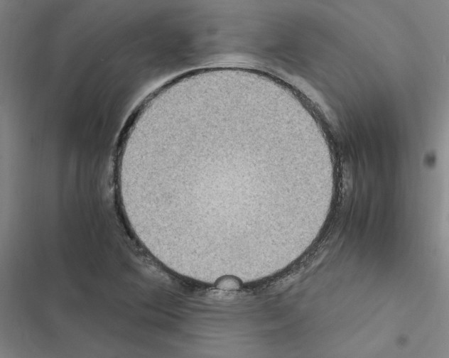 X0000116581364201001211256
