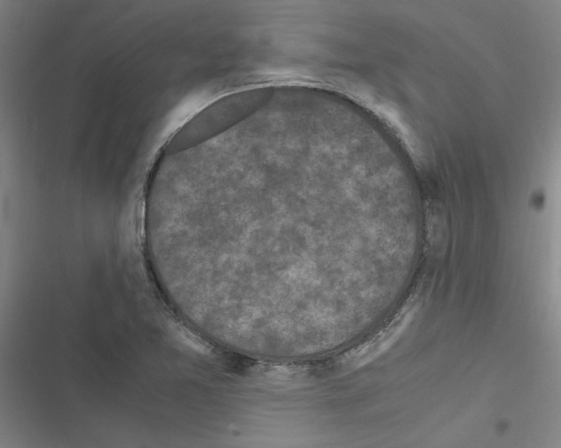 X0000116581365201001211256