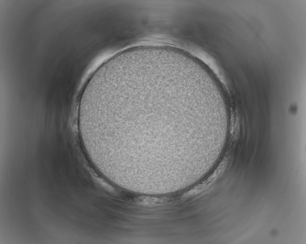 X0000116581366201001211256