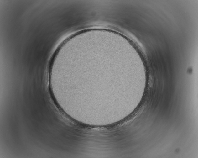 X0000116581368201001211256