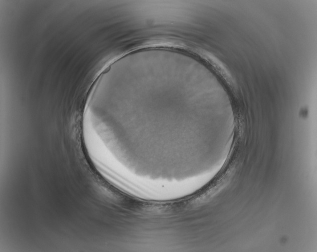 X0000116581369201001211256