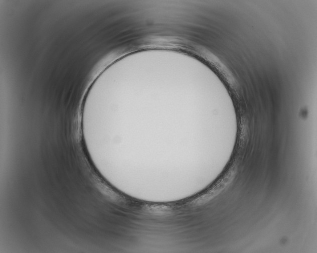 X0000116581370201001211256