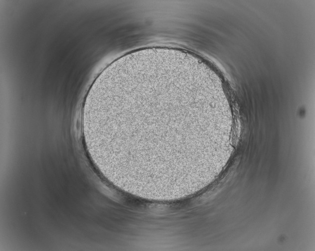 X0000116581371201001211256