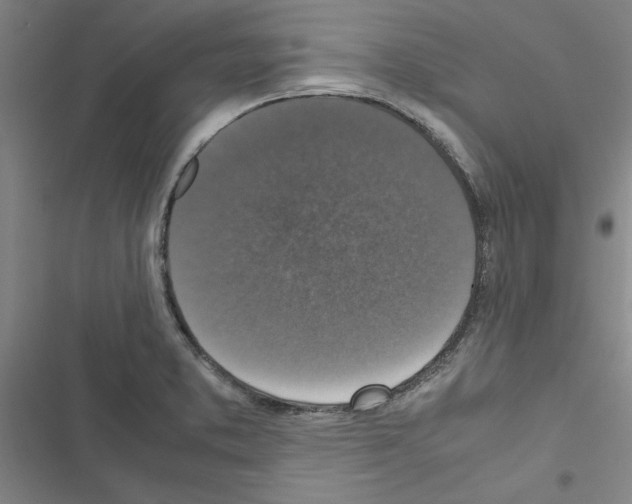 X0000116581373201001211256