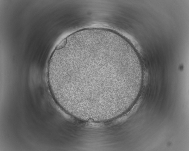 X0000116581374201001211255